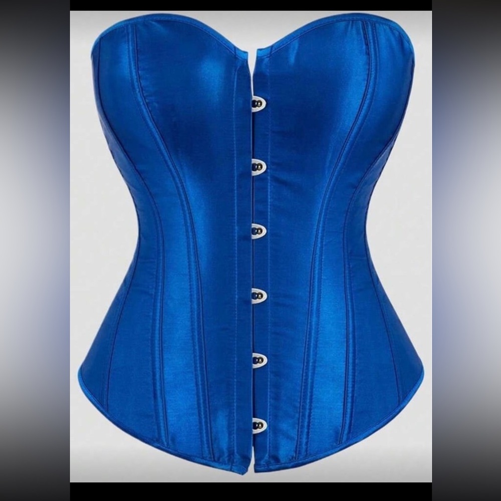 Sleek Blue Corset Top